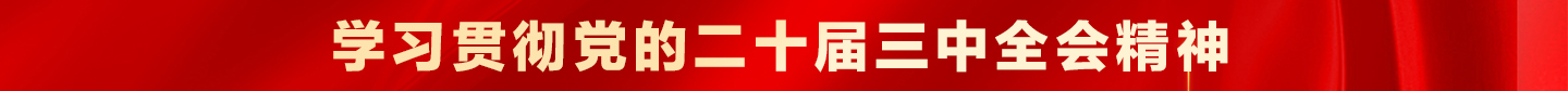 學習貫徹黨的二十屆三中全會精神